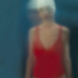 Nantes lubricis pelagi