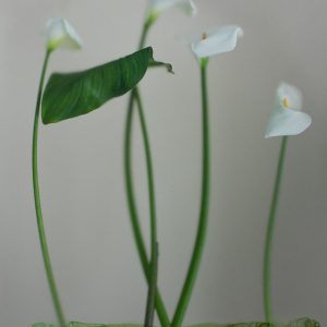 We are accidents waitin' to happen