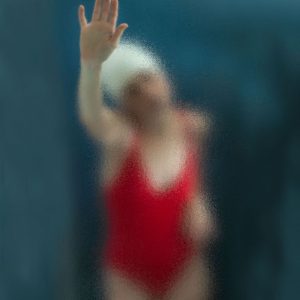 Nantes lubricis pelagi