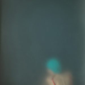 Nantes lubricis pelagi