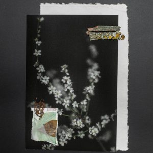 We are accidents waitin' to happen