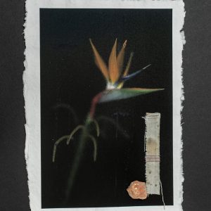 We are accidents waitin' to happen