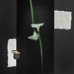 We are accidents waitin' to happen