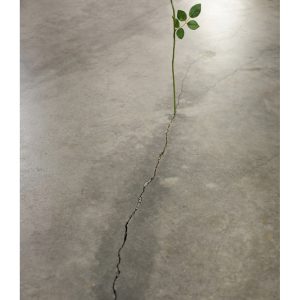 Il mondo cominciava a sbocciare in ferite