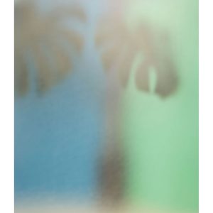 Il mondo cominciava a sbocciare in ferite